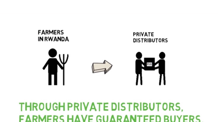 A Tale of Two Tables: How Snow Peas Help Rwandan Families